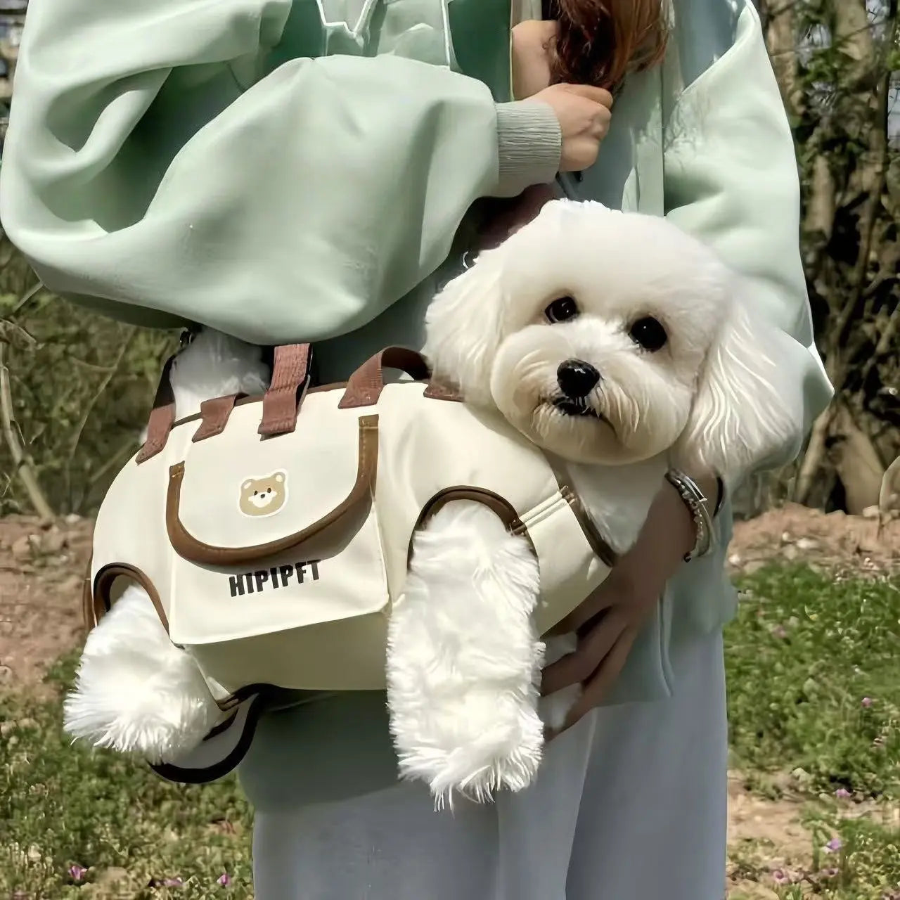 Portable Pet Carrier Backpack, Outdoor Breathable Dog Cat Bag, Adjustable Shoulder Strap, Lightweight Travel Gear, Lomi Color/Lion