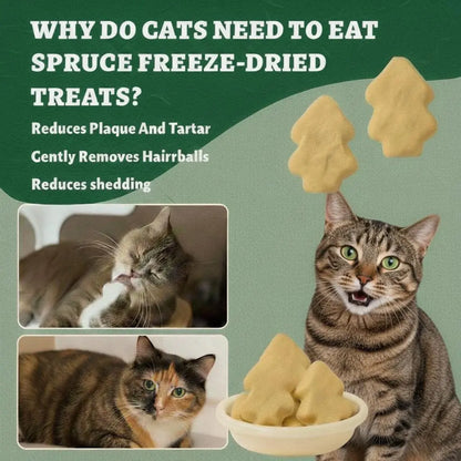 Freeze-Dried Cat Treats – High-Protein Chicken, Spruce-Derived Cellulose for Hair Ball Control, Rich in Omega-3 & Vitamins for Shiny Coat – Grain-Free, Fresh-Locked Mini Packs