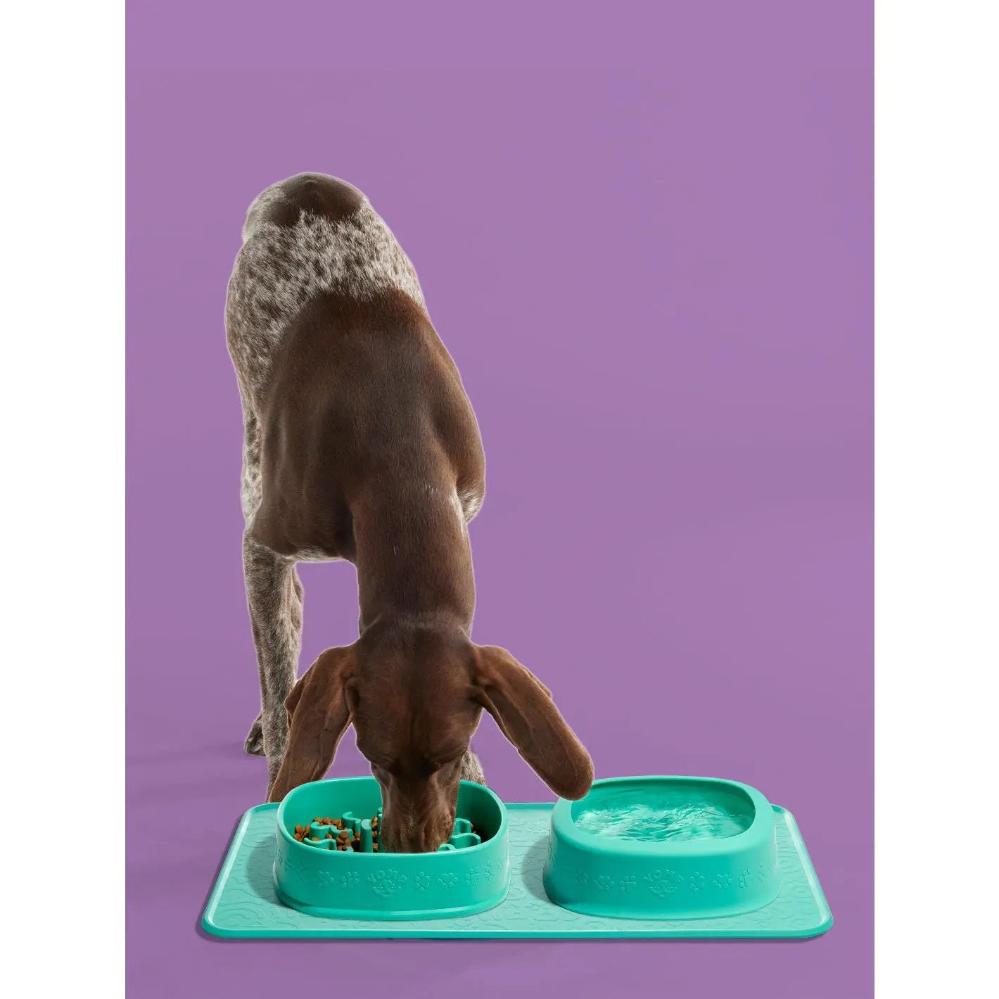 Yomp Splashmat Silicone Pet Food Mat – Non-Slip, Waterproof, and Pet-Safe Tray with Raised Edge for Dog Food and Water Bowls