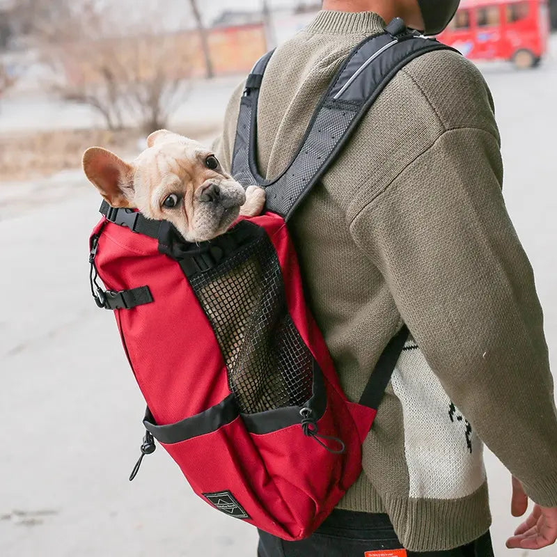 Pet Dog Double-Shoulder Carrier Backpack - Portable Polyester Animal Carrier for Travel