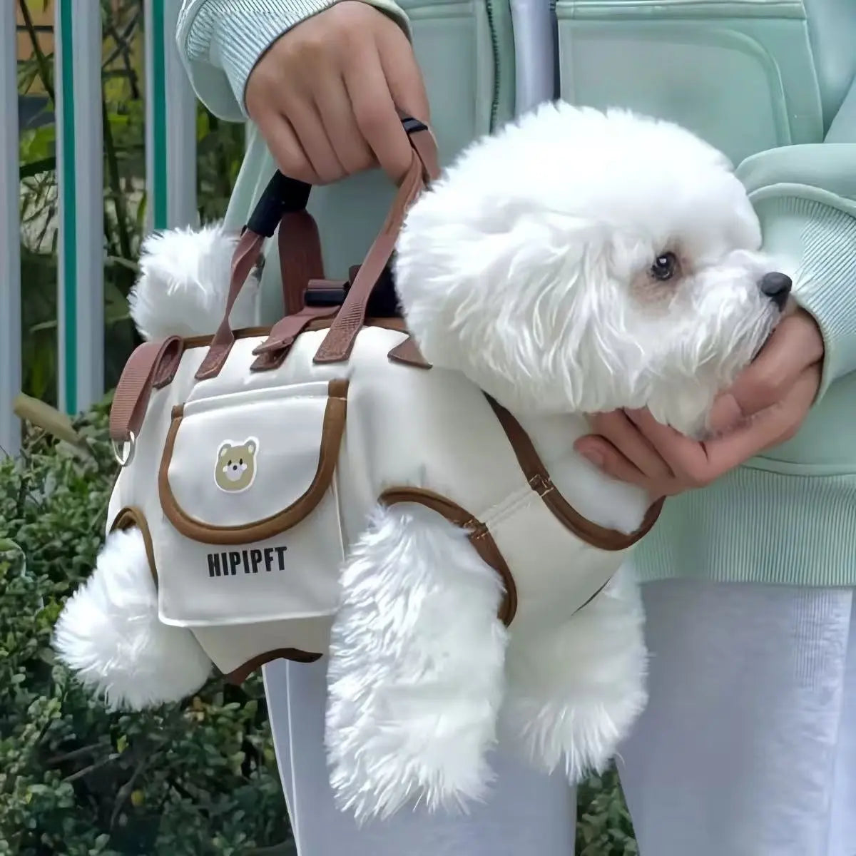 Portable Pet Carrier Backpack, Outdoor Breathable Dog Cat Bag, Adjustable Shoulder Strap, Lightweight Travel Gear, Lomi Color/Lion