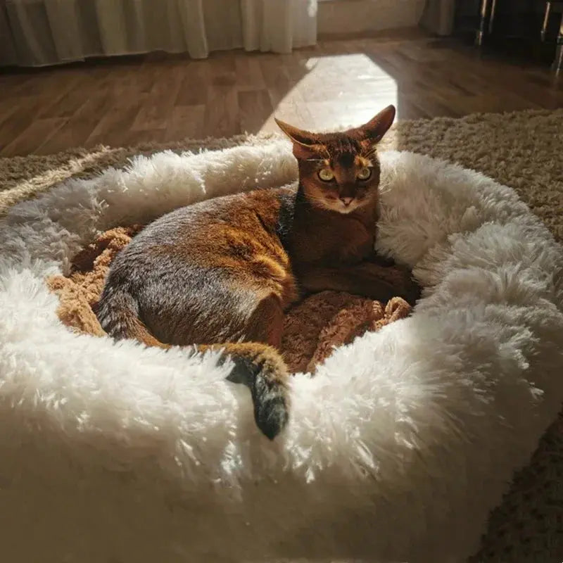 Cloud Anxiety Pet Bed