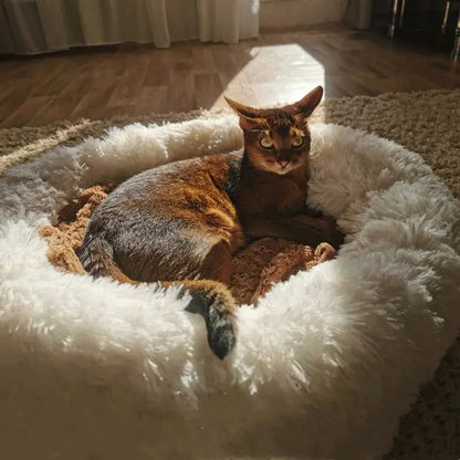 Cloud Anxiety Pet Bed