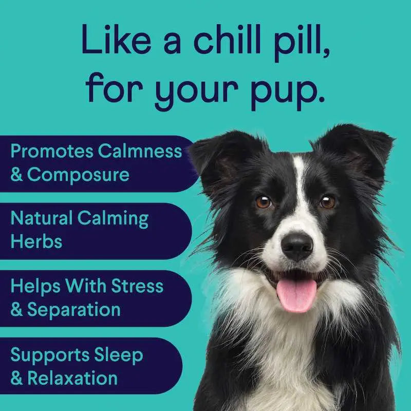 FINN Calming Aid for Dogs - Natural Calming Chews, Melatonin, Stress Support, Separation Support, Sleep Support - 90 Soft Chews Supplements