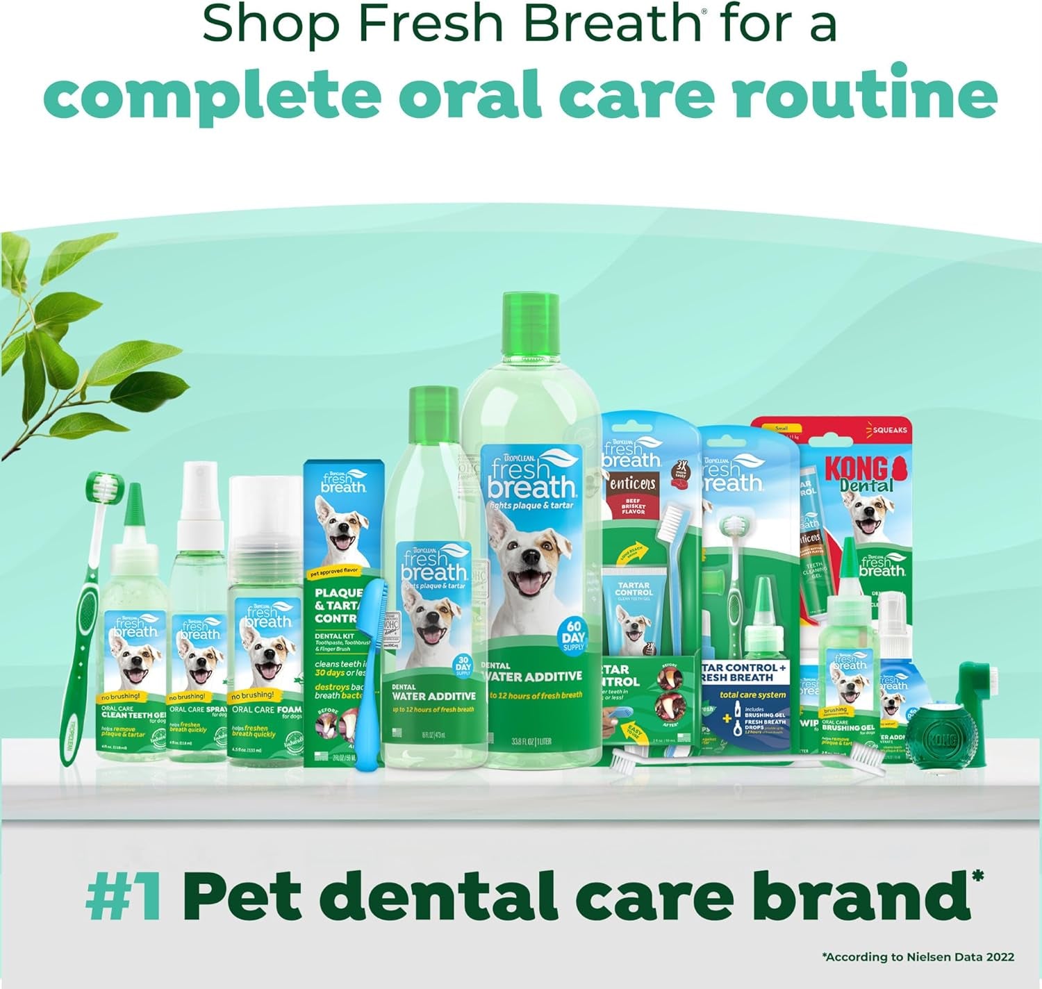 Tropiclean Fresh Breath Dental Water Additive, Dog Breath Freshener, 33.8Oz | Freshens Breath & Cleans Teeth | No Toothpaste or Toothbrush Required