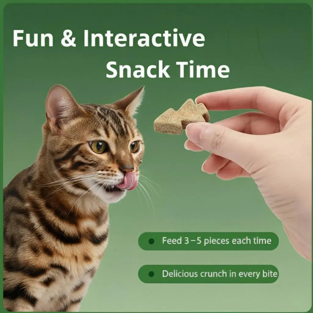 Freeze-Dried Cat Treats – High-Protein Chicken, Spruce-Derived Cellulose for Hair Ball Control, Rich in Omega-3 & Vitamins for Shiny Coat – Grain-Free, Fresh-Locked Mini Packs