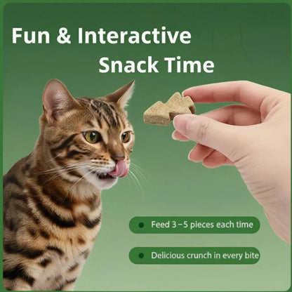 Freeze-Dried Cat Treats – High-Protein Chicken, Spruce-Derived Cellulose for Hair Ball Control, Rich in Omega-3 & Vitamins for Shiny Coat – Grain-Free, Fresh-Locked Mini Packs