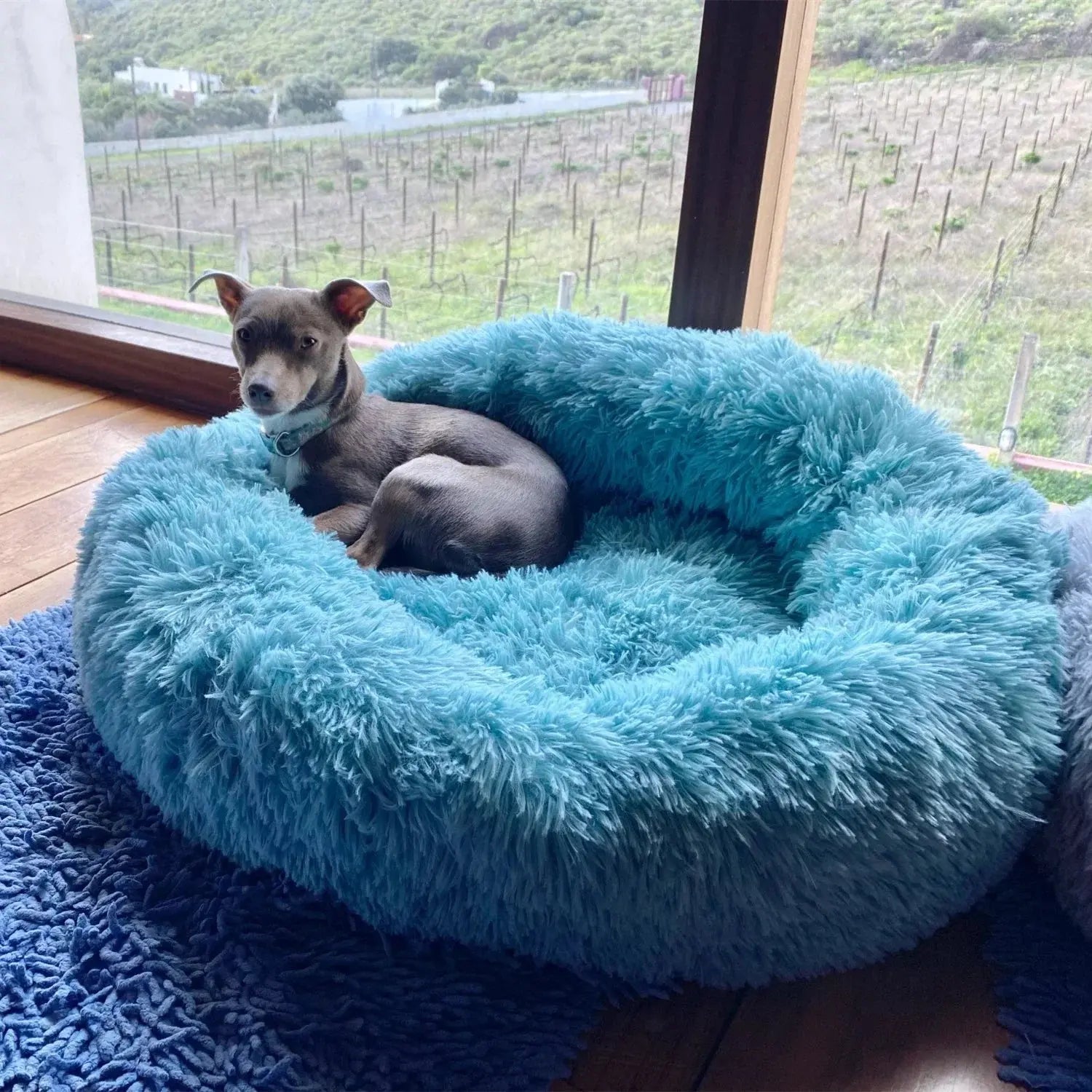 Cloud Anxiety Pet Bed