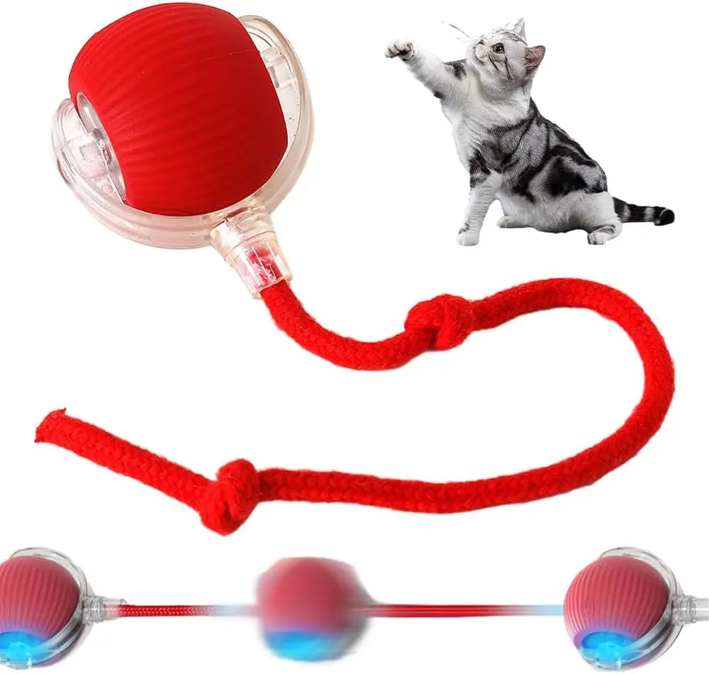 Viral Smart Cat Ball + 4 Toys! 5-In-1 Interactive Bundle with Laser & Catnip, Bundles Are Sent Randomly!