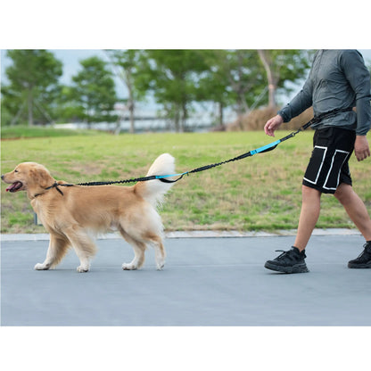 Iyoshop Hands Free Dog Leash with Zipper Pouch, Dual Padded Handles and Durable Bungee for Walking, Jogging and Running Your Dog