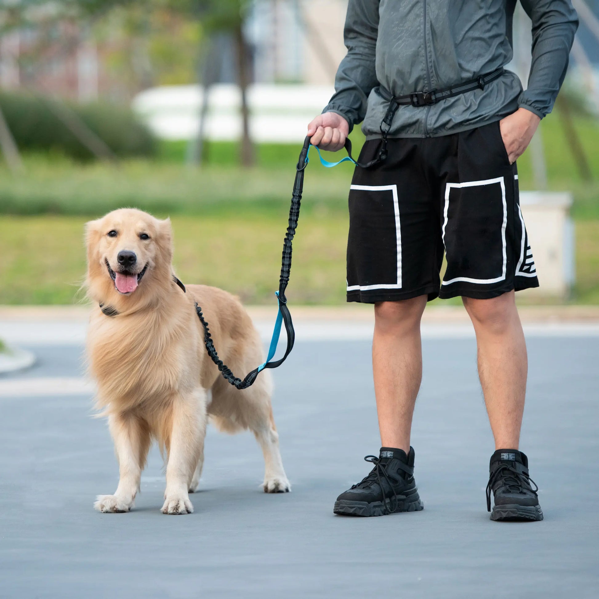 Iyoshop Hands Free Dog Leash with Zipper Pouch, Dual Padded Handles and Durable Bungee for Walking, Jogging and Running Your Dog