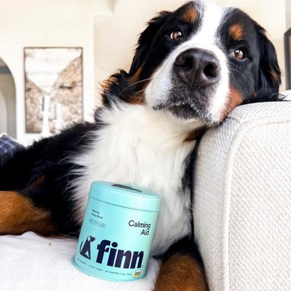 FINN Calming Aid for Dogs - Natural Calming Chews, Melatonin, Stress Support, Separation Support, Sleep Support - 90 Soft Chews Supplements