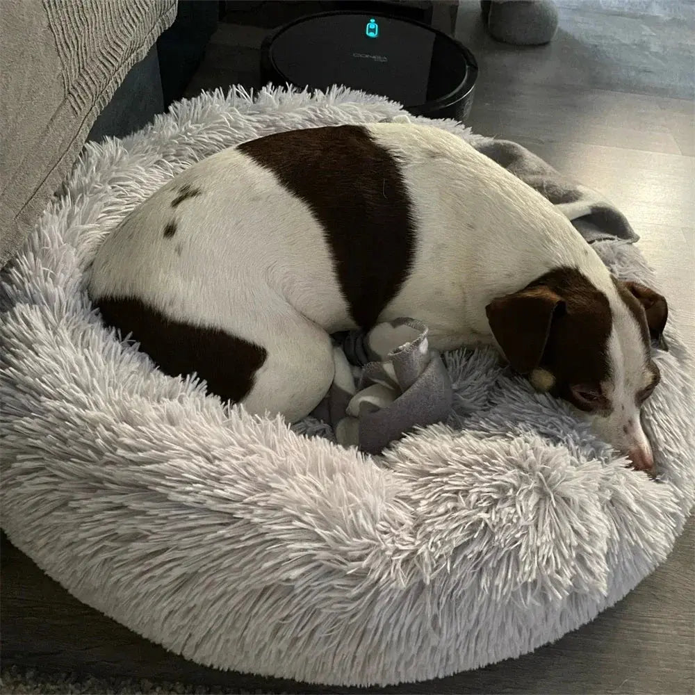 Cloud Anxiety Pet Bed